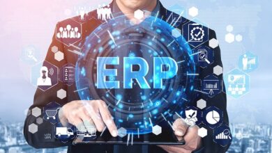 erp consultant hourly rate