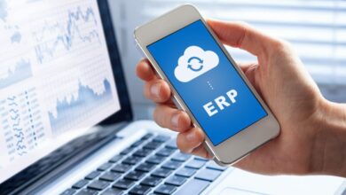 ERP consultants
