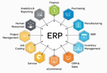 erp for food